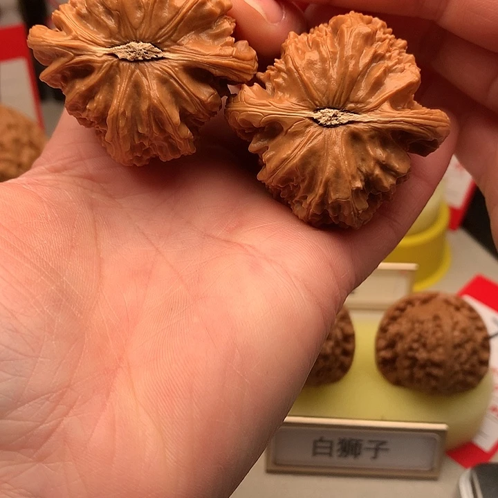 文玩核桃吊坠45尺白狮子779号