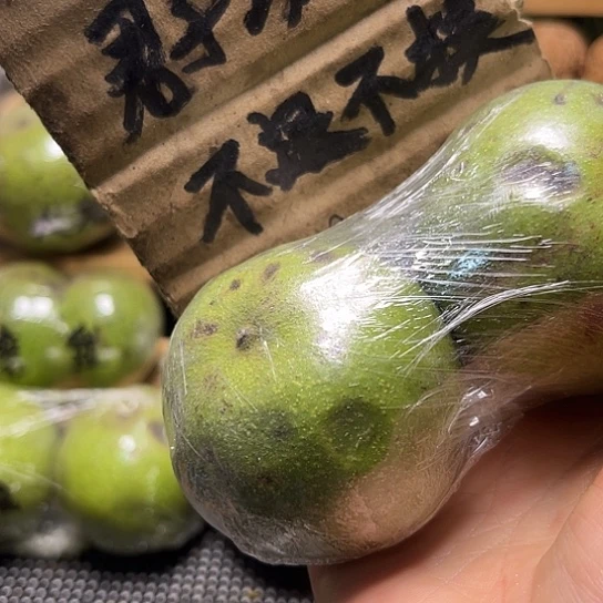 海***y血麒麟福利活动开始