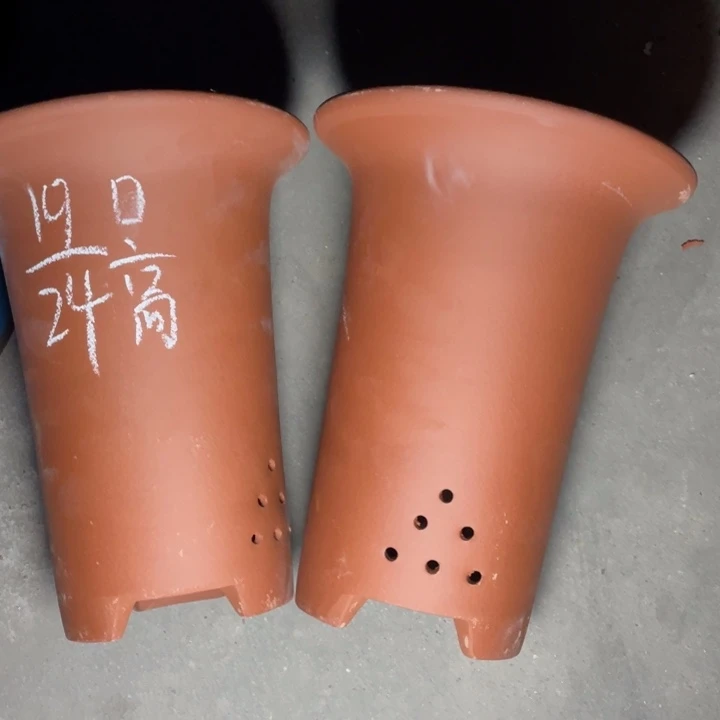 周深周深周深周深周深
