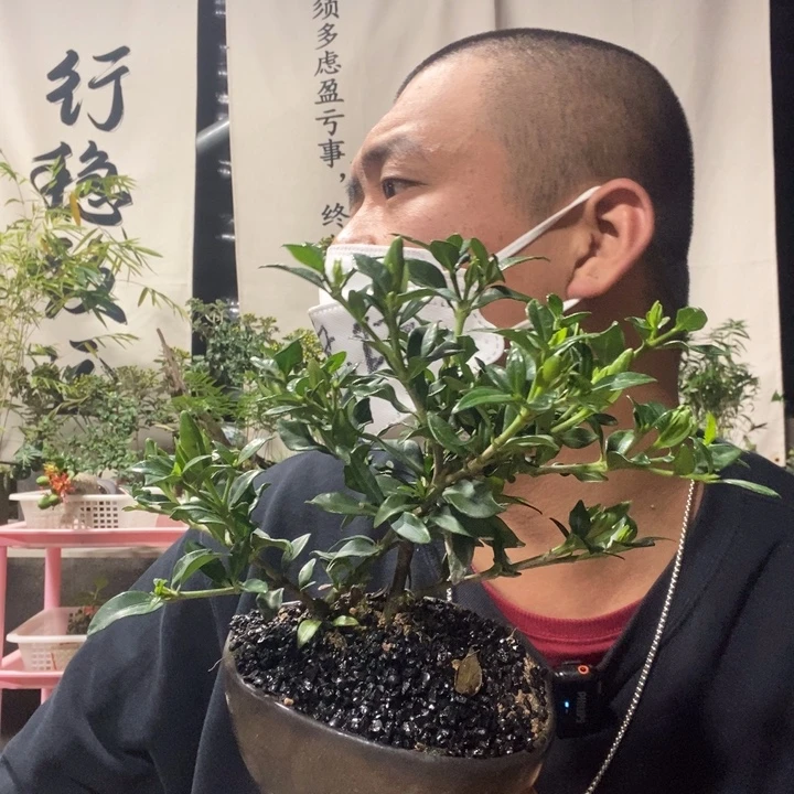 想***猫无花朵退款拉黑拉黑151