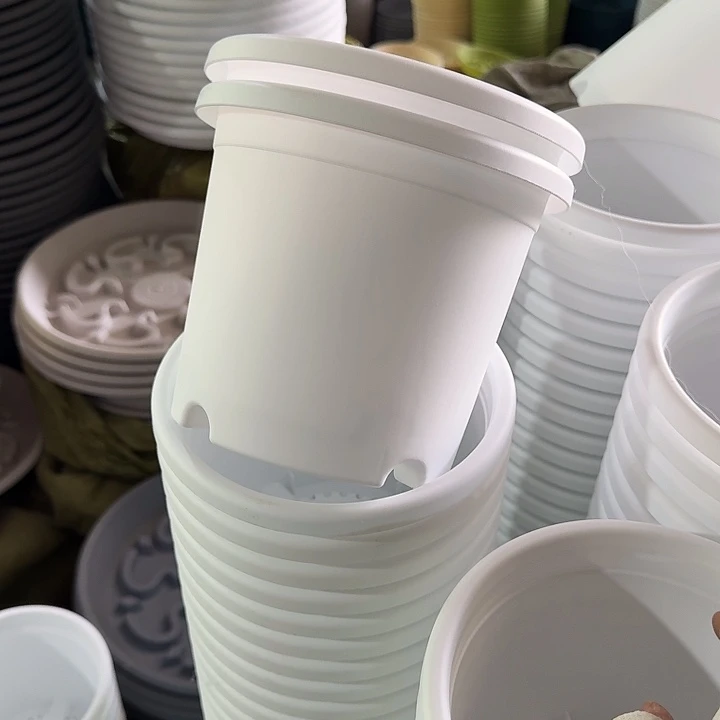 四季2#口径17白色6个无托