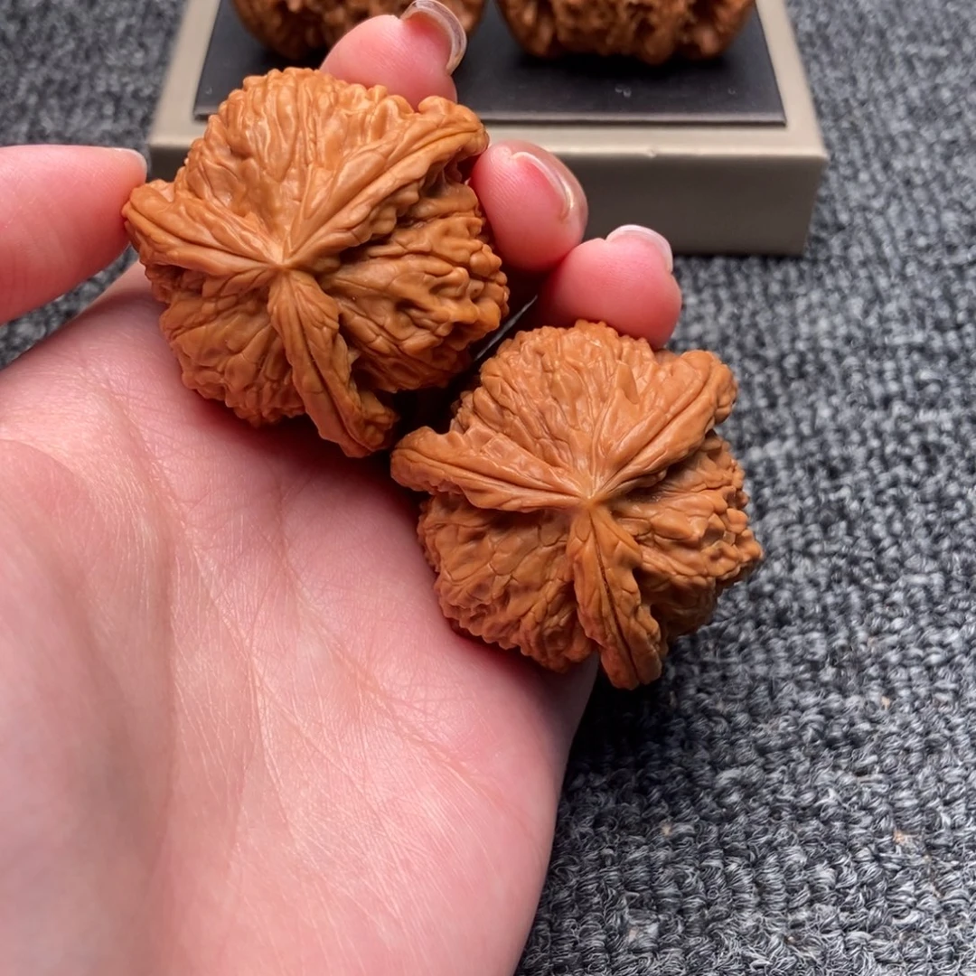 灿***猫木质类白狮子正奔