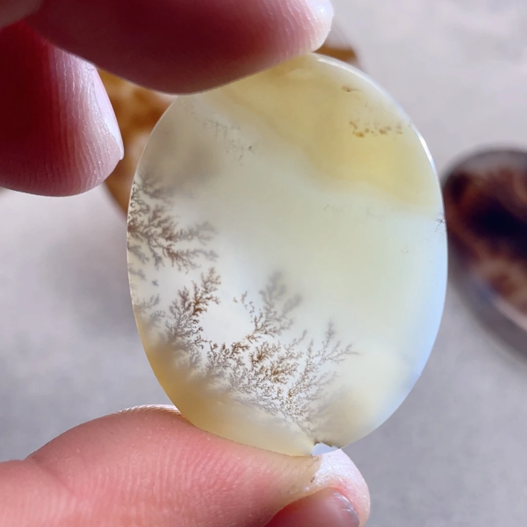 【闪购商品】玛瑙/玉髓颈饰合金