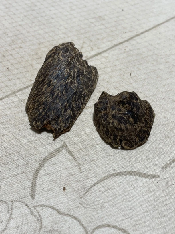 沉香古树包头2个4.67克，尖峰老料，黑肉发亮，有紫棋香韵