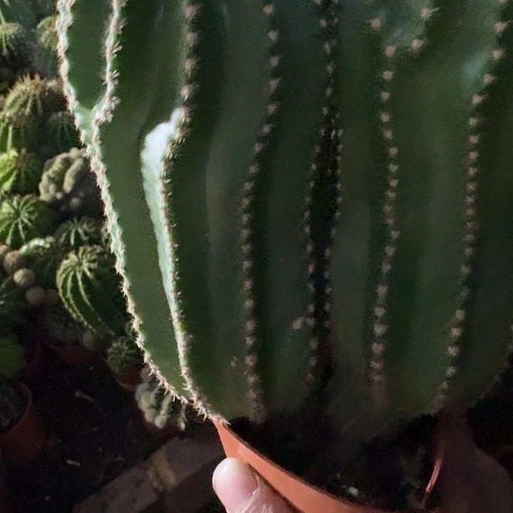 璀***璨无花朵彩草哈哈哈哈哈哈哈姐