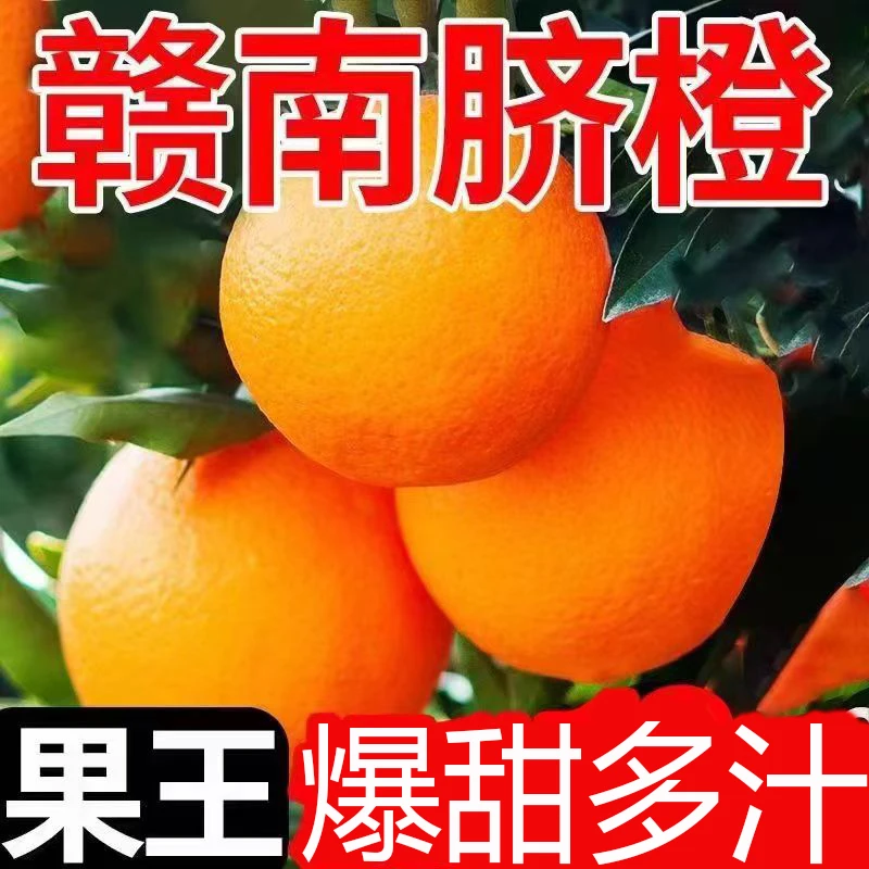 20斤 赣南脐橙现摘现发当季5斤整箱手剥甜橙新鲜产地大果直发水果