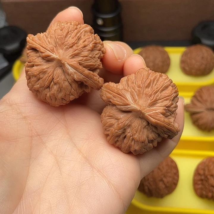 就***.四座楼42全皮全品