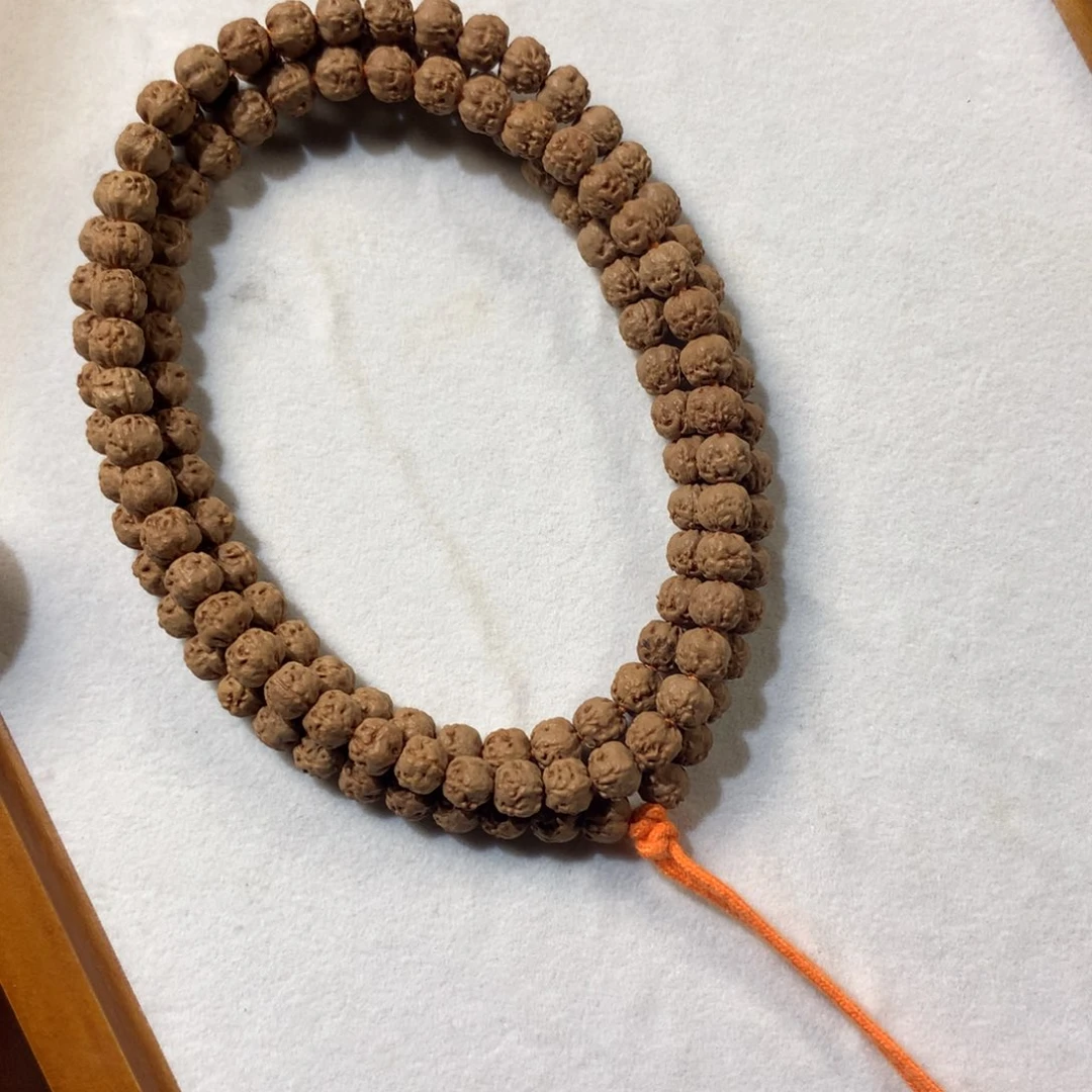 7➕SS佛手五爪金龙小金刚