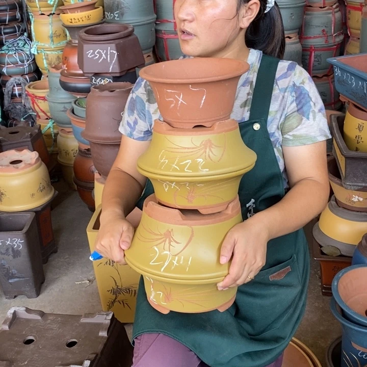 紫砂花盆盆栽花卉
