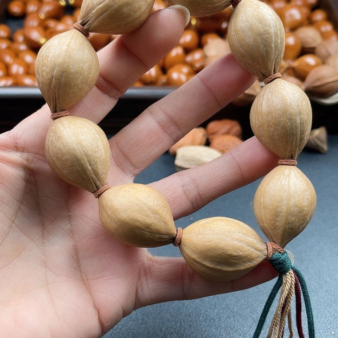 吊坠橄榄核橄榄树等植物