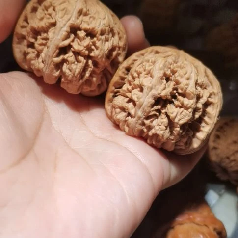 猴头核桃吊坠华*44粗筋