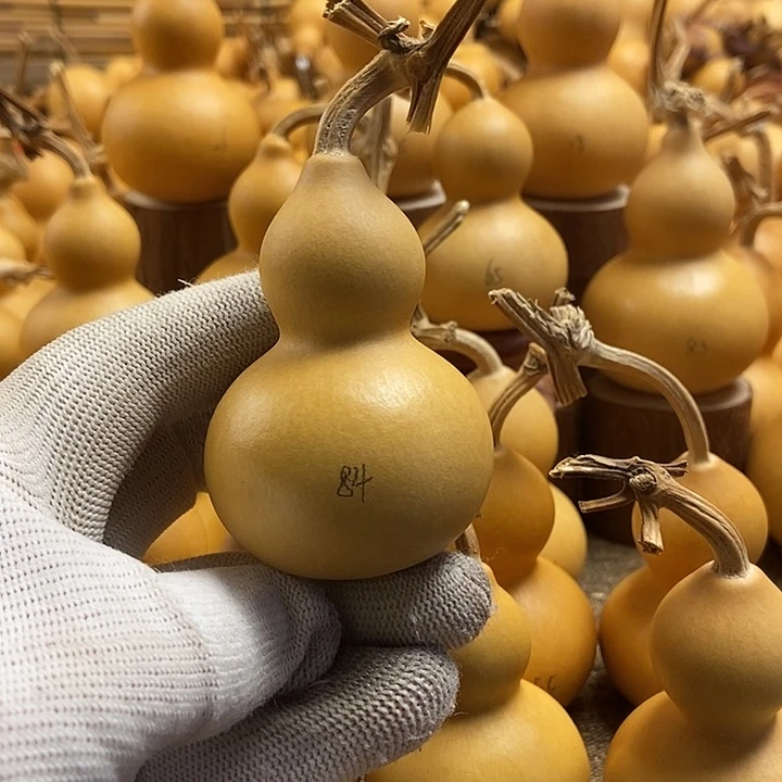 文玩葫芦 完美主义者 慎拍84