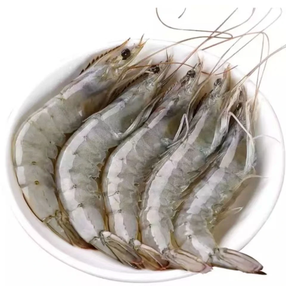 海水大虾5斤 速冻锁鲜 13-16cm（60-75只）冷链发货 12-15只/斤 5包