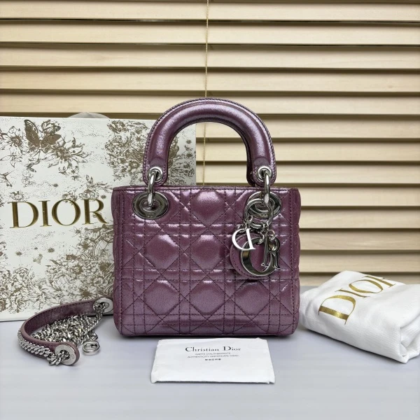 95新/包包/迪奥/250119EL0008