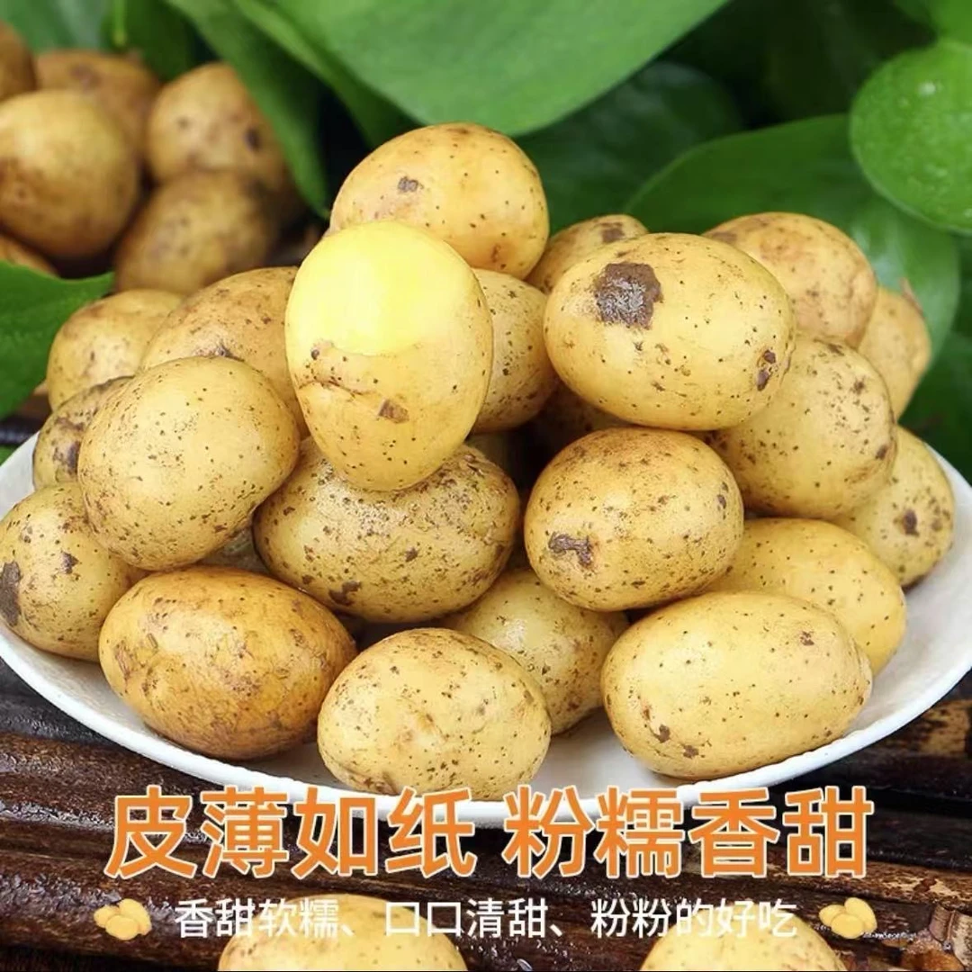 湖北黄心黄皮小土豆现挖新鲜正宗农家迷你马铃薯洋芋