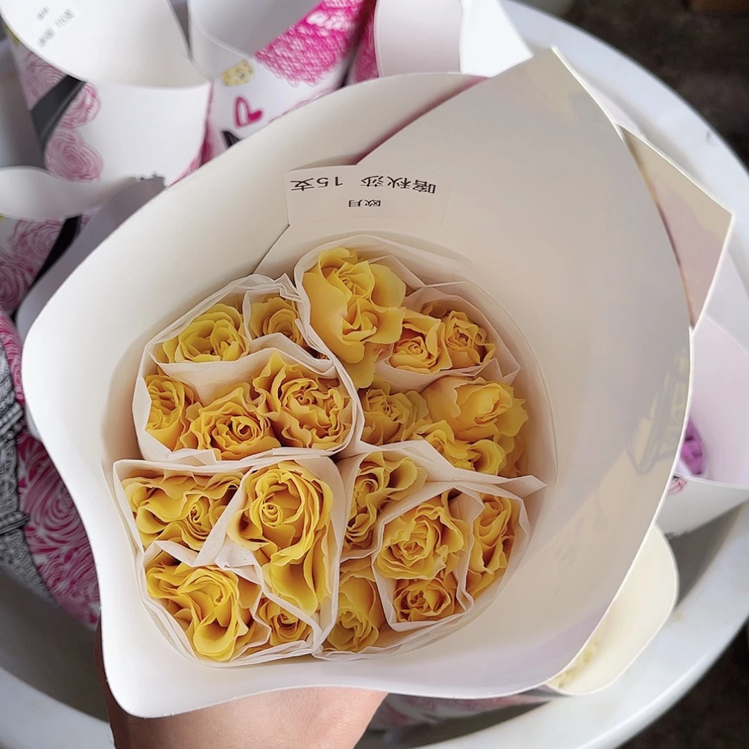 完全开放（喀秋莎）一扎