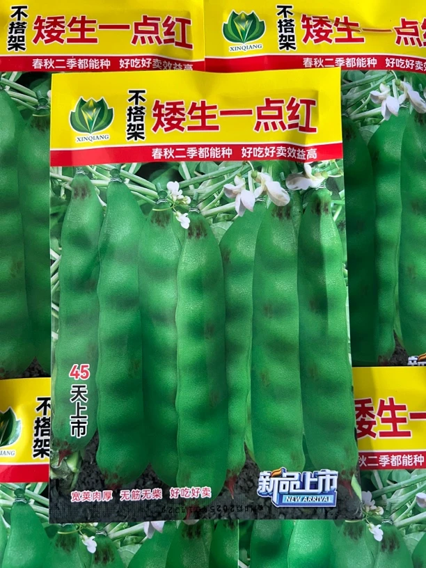 不搭架矮生一点红 豆角种子 50克