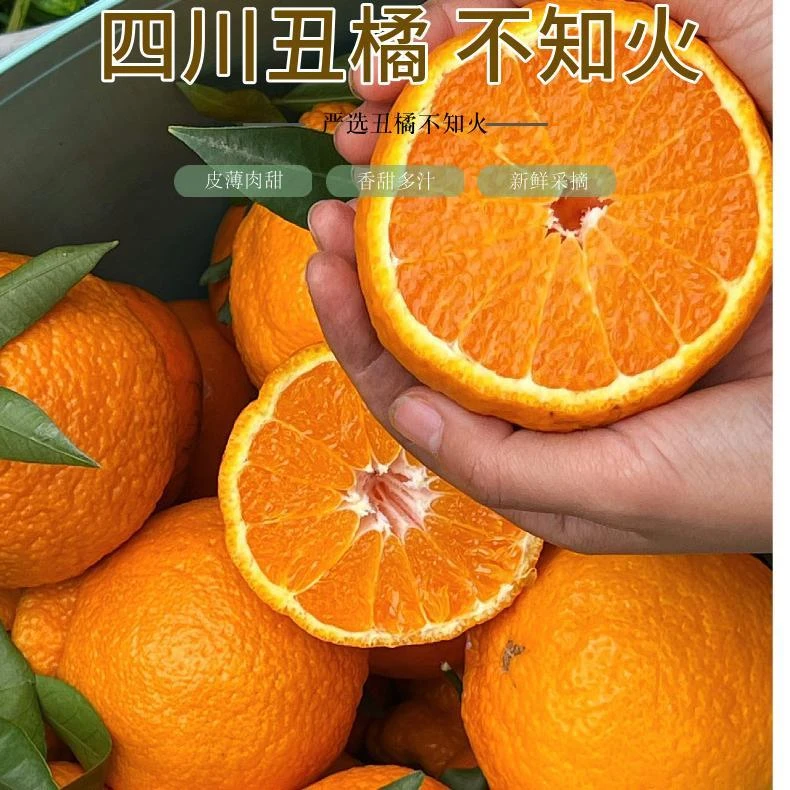 正宗四川不知火丑橘新鲜水果3-9斤当季耙耙柑丑八怪柑橘粑粑柑甜