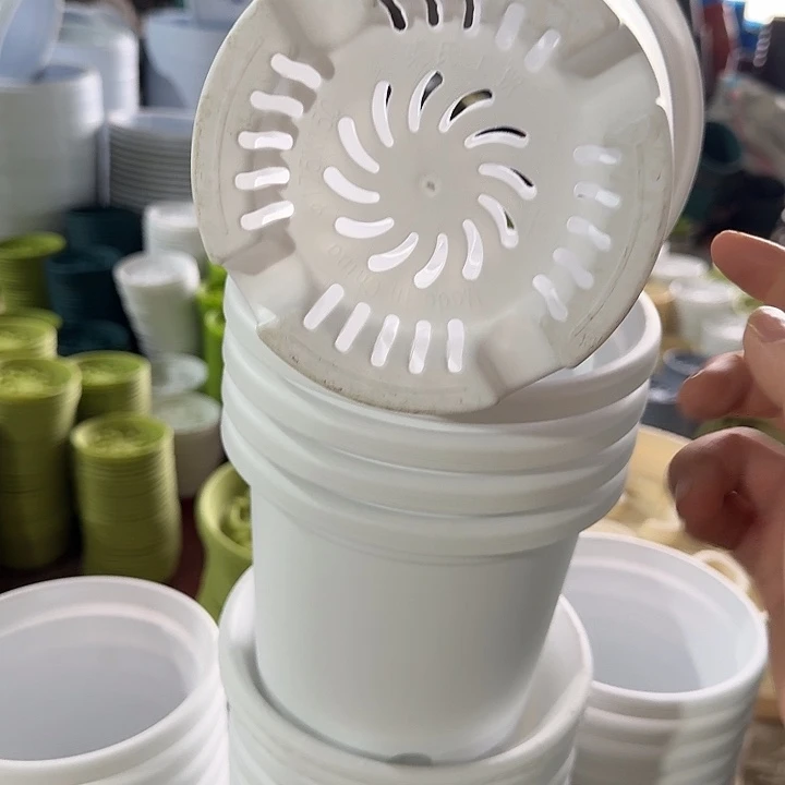 四季2#口径17白色6个无托