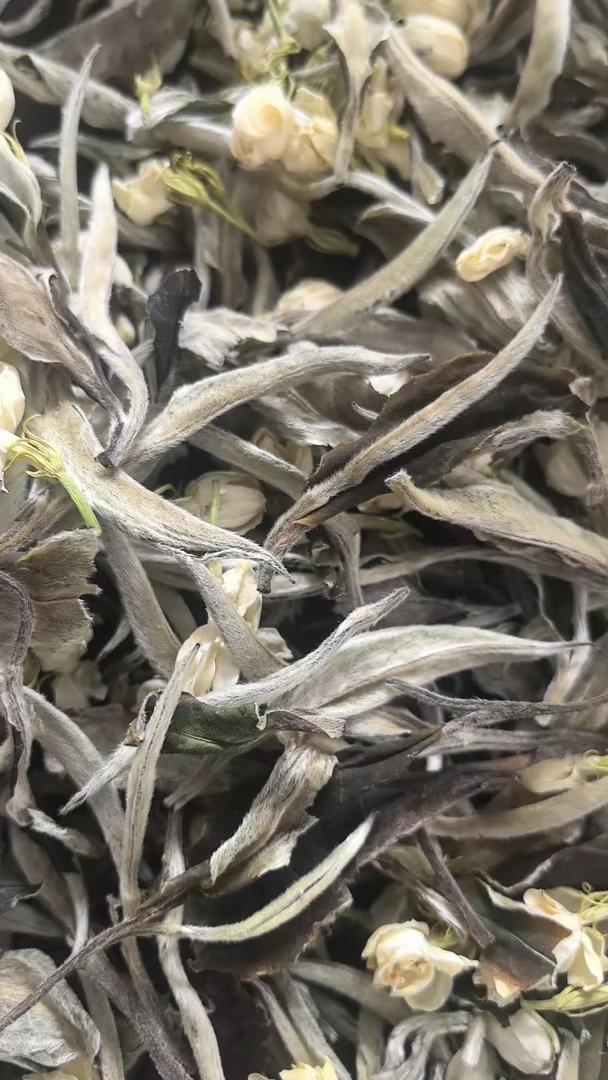 【龙哥私房茶】2025年茉莉月光白 云南白茶加茉莉花