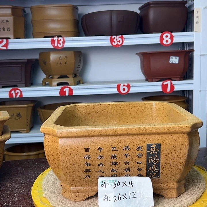 紫砂花盆蛇年大吉