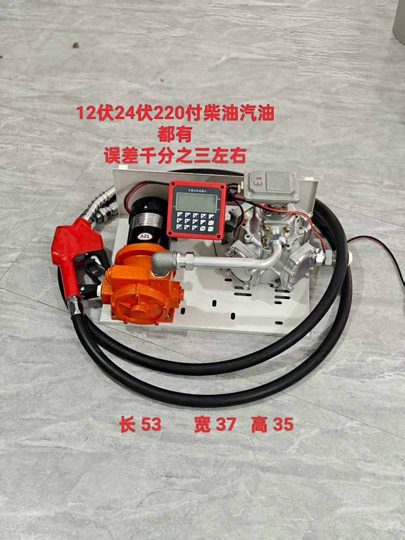 全自动车载12V24V220V柴油汽油大流量电动抽油泵加油设备加油抽子
