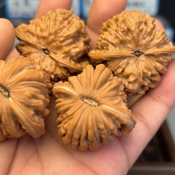 文玩核桃吊坠鲸**声55555555