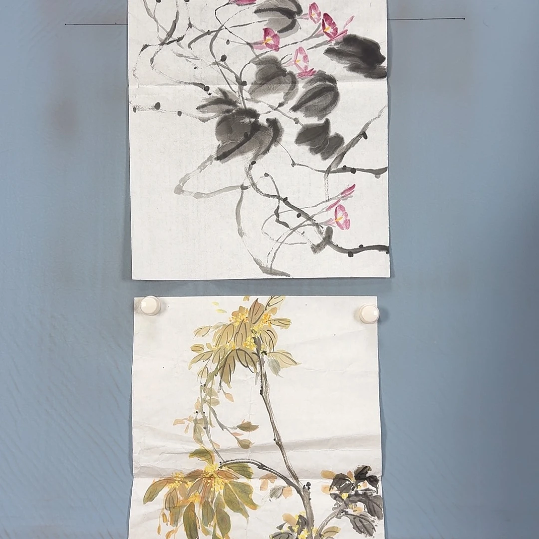 国画804 牡丹仙子好可爱