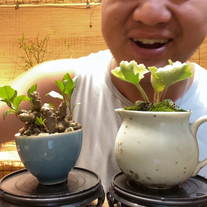 渔**阳一物一拍所见即所得260