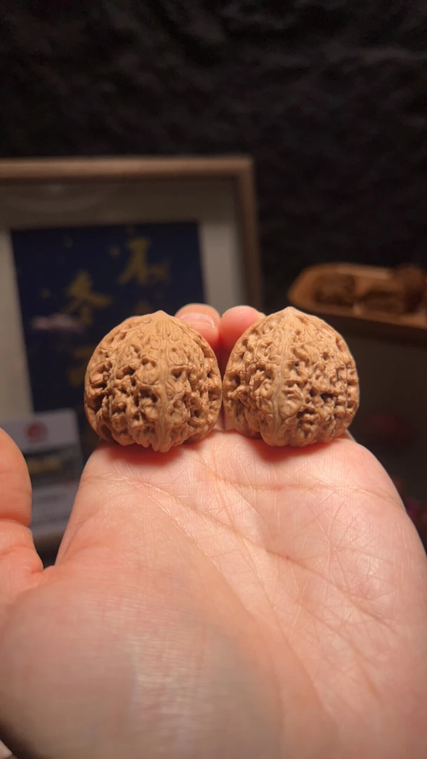 文玩核桃 承德密纹 7186 号 33.5 尺寸