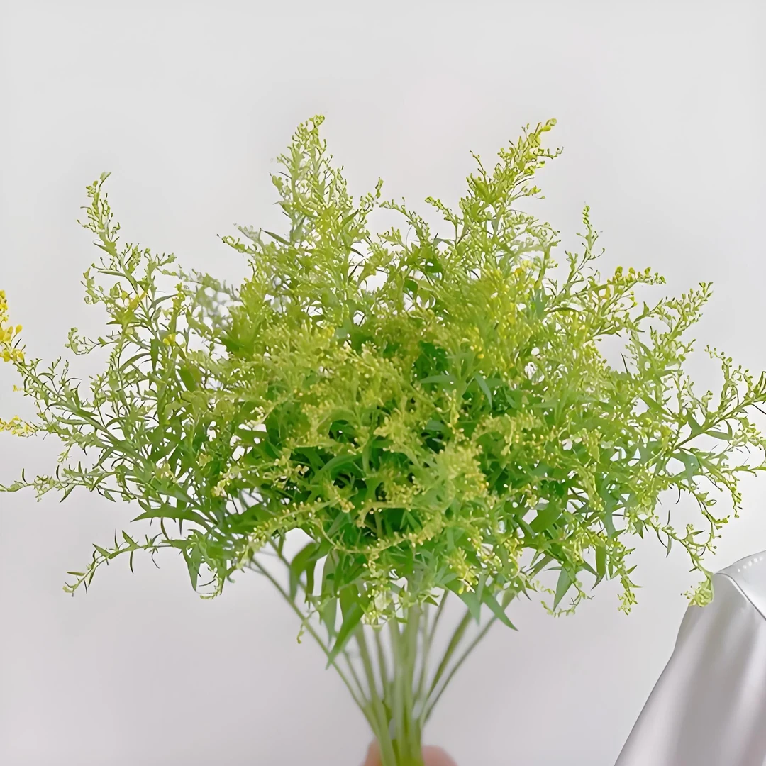 小美专属『黄英5支』全场任意满两单鲜花顺丰包邮 三单送黄莺  鲜花直播批发次日达包邮