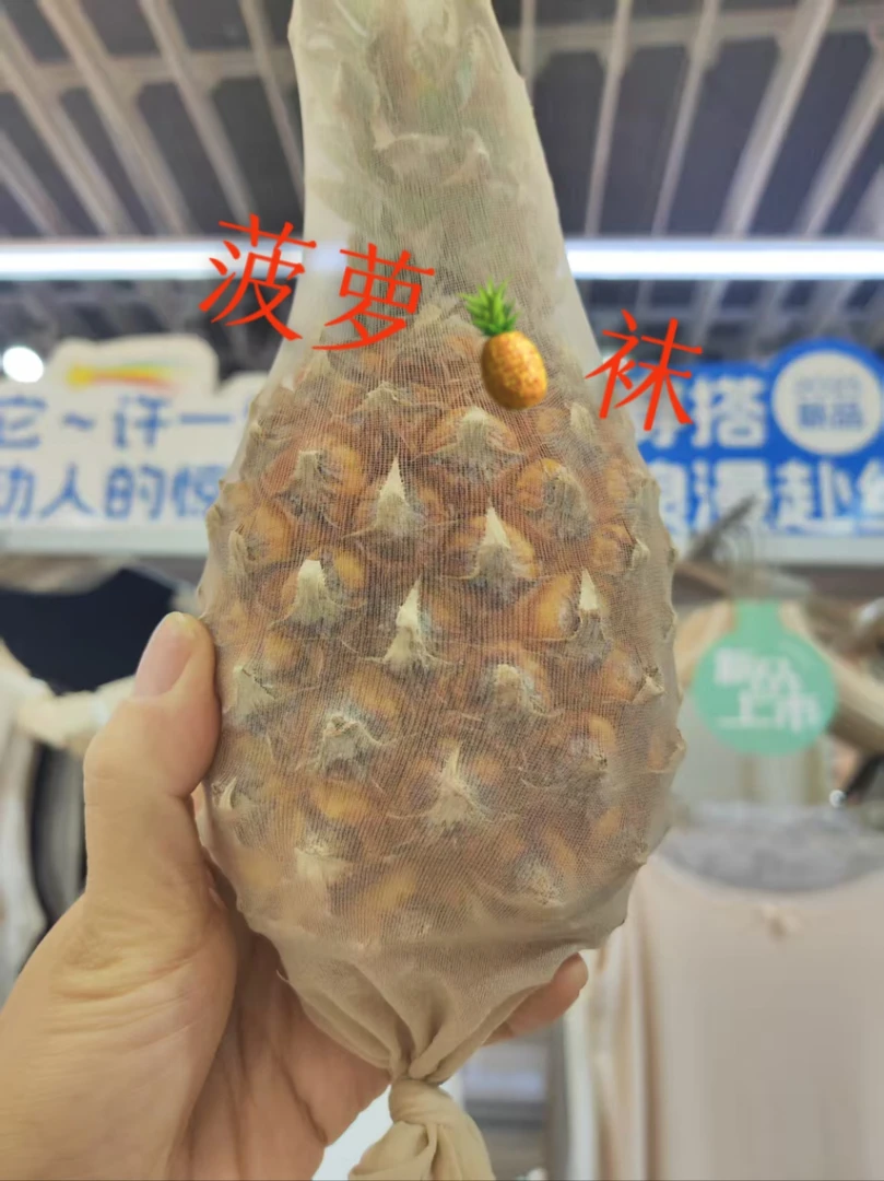 菠萝袜防勾丝菠萝袜袜子时尚女士性感连体