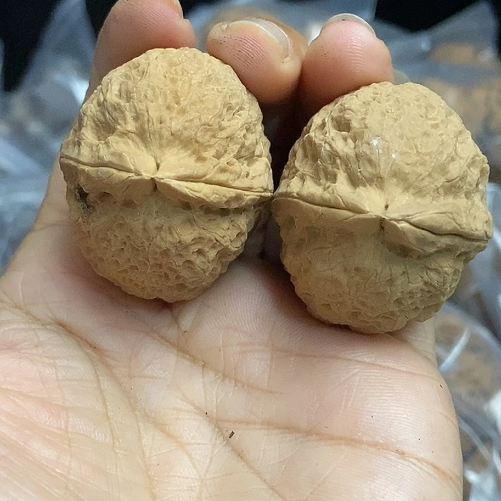 文玩核桃把件云南铁核桃基地79