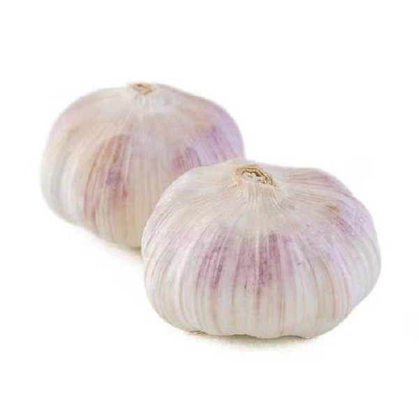 大蒜     约280g02231