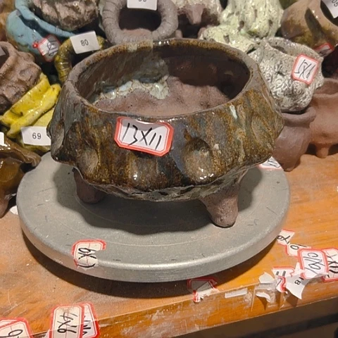 粗陶花盆，现在都不一样的