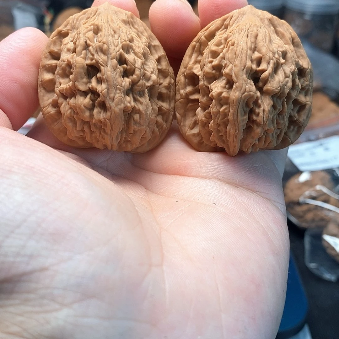 1文玩核桃麦穗虎头40-259