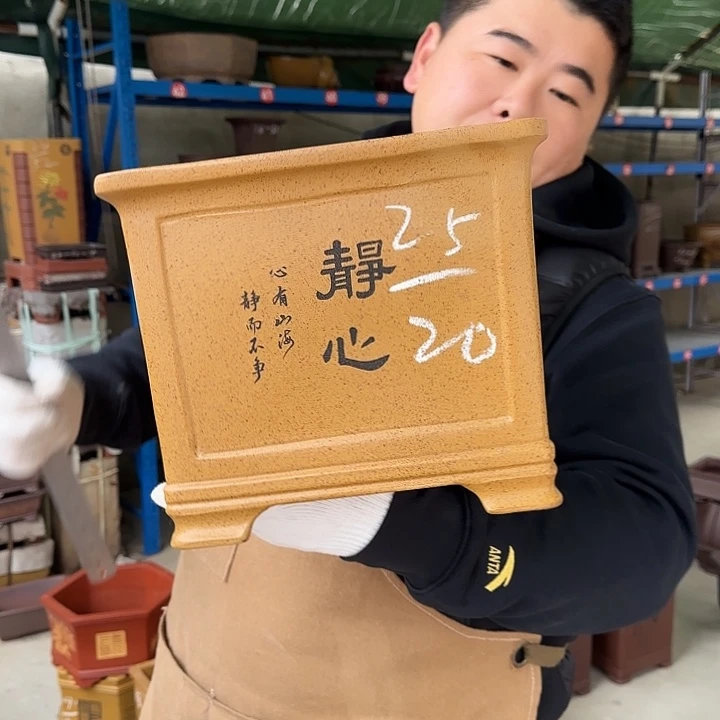 花盆紫砂这是什么