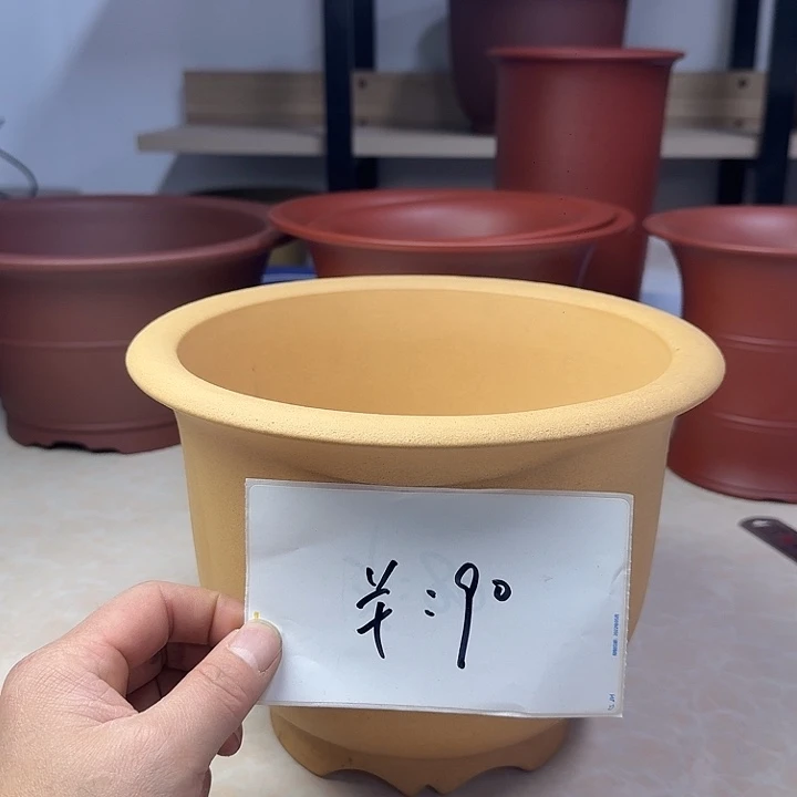 春秋花盆精品兰盆