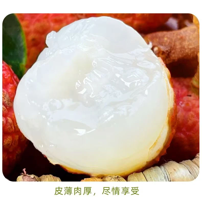 京东/EMS空运/白糖罂荔枝果园直发当季水果孕妈妈水果3/5斤包邮