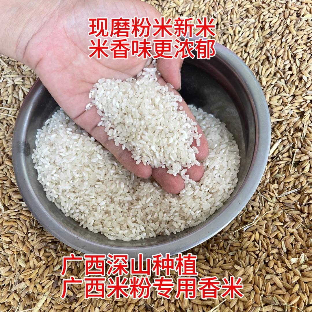 广西老品种深山珍桂香米粉米石磨肠粉米粉专用米Q弹爽滑米香浓郁