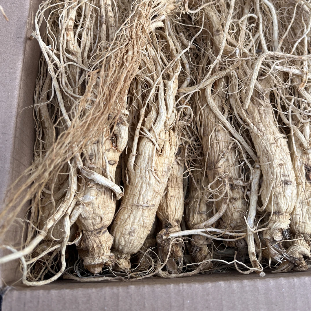 大枝头全须人参包邮