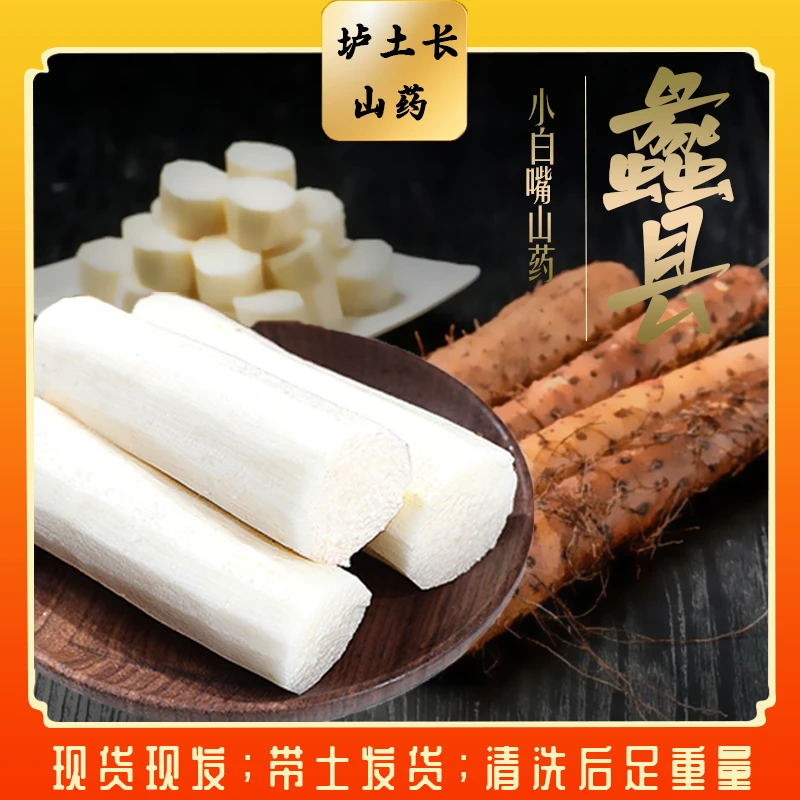 河北特产蠡县麻山药小白嘴山药铁棍山药新鲜山药产地直发