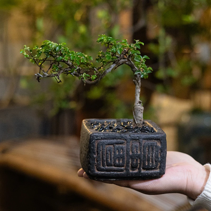 【七呀】中式仿古富贵锈色花盆插花复古做旧花器禅意客厅桌面摆件