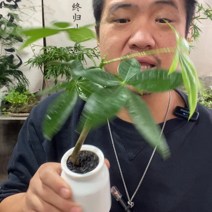 以实际为准退款拉黑拉黑1