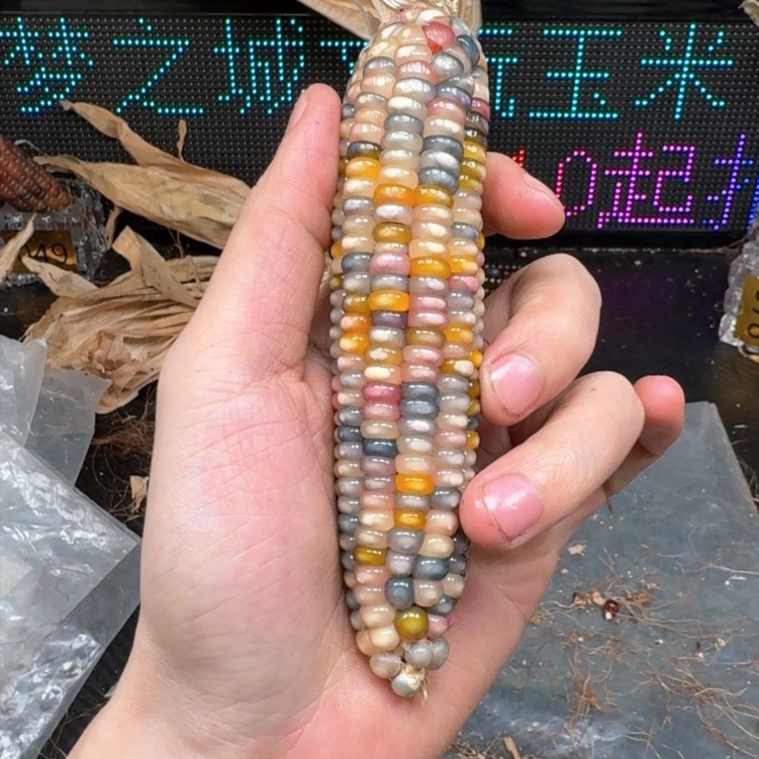 柏香籽/百香籽吊坠米*