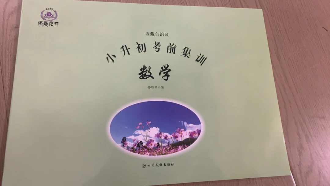 小升初考前集训、数学1至6年级