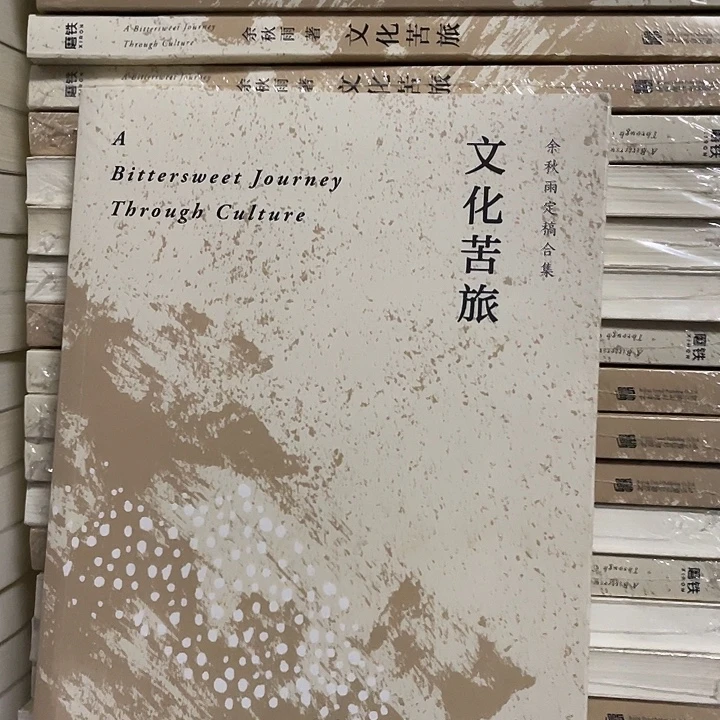 文化苦旅   平装带塑封