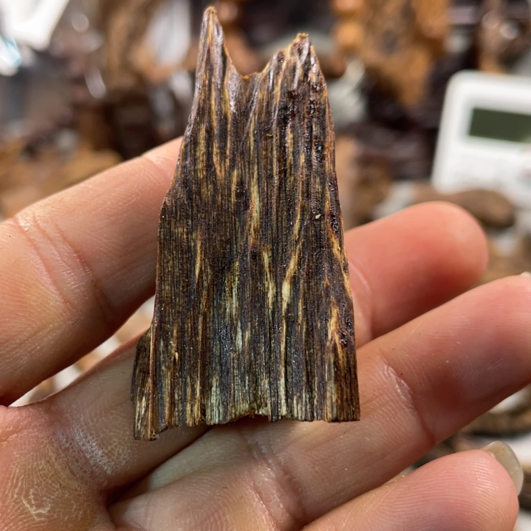 沉香碎屑沉香海南香