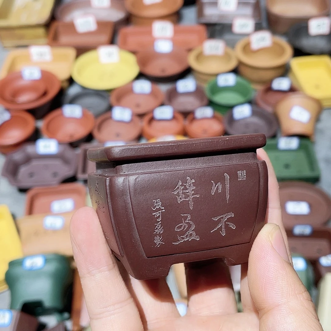紫砂小盆5*4cmmmmm