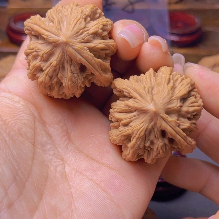 飛*核桃专用链接,麦虎40